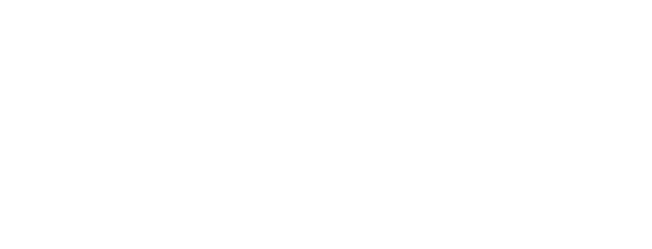 Trans-Web Logo Trans-Web Logo